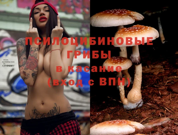 ALPHA-PVP Бугульма