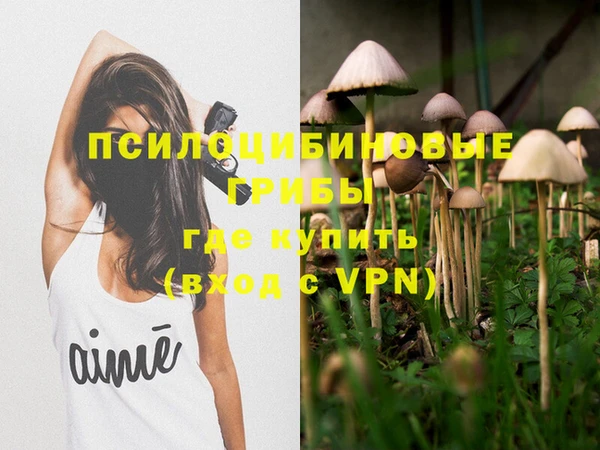 ALPHA PVP Бородино