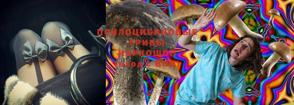 ALPHA PVP Бородино