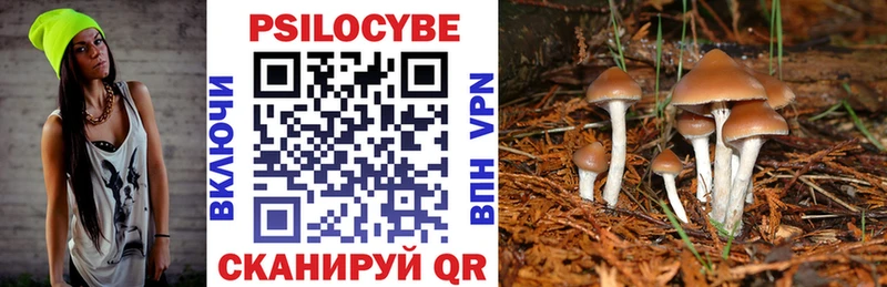 OMG ссылки  мориарти состав  Псилоцибиновые грибы прущие грибы  Конаково 